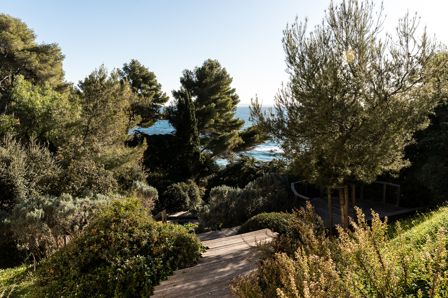 Paysage